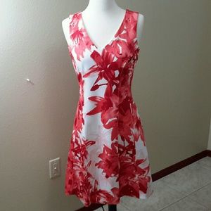 An elegant V- Neck  dress collection